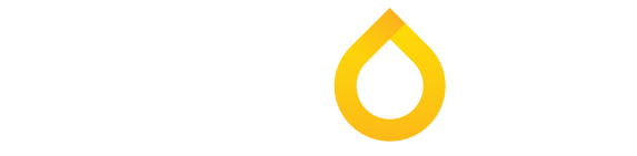 Petrolis_logo_w.png