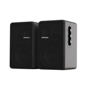 Portable Wireless Karaoke System AS-PT6006